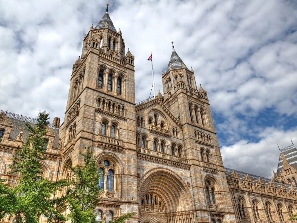 Natural History museum in London