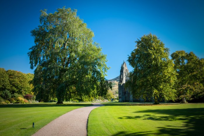 palace gardens holyrood